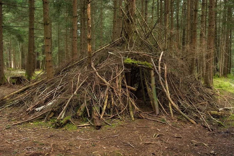 Une cabane de branchages dans les bois