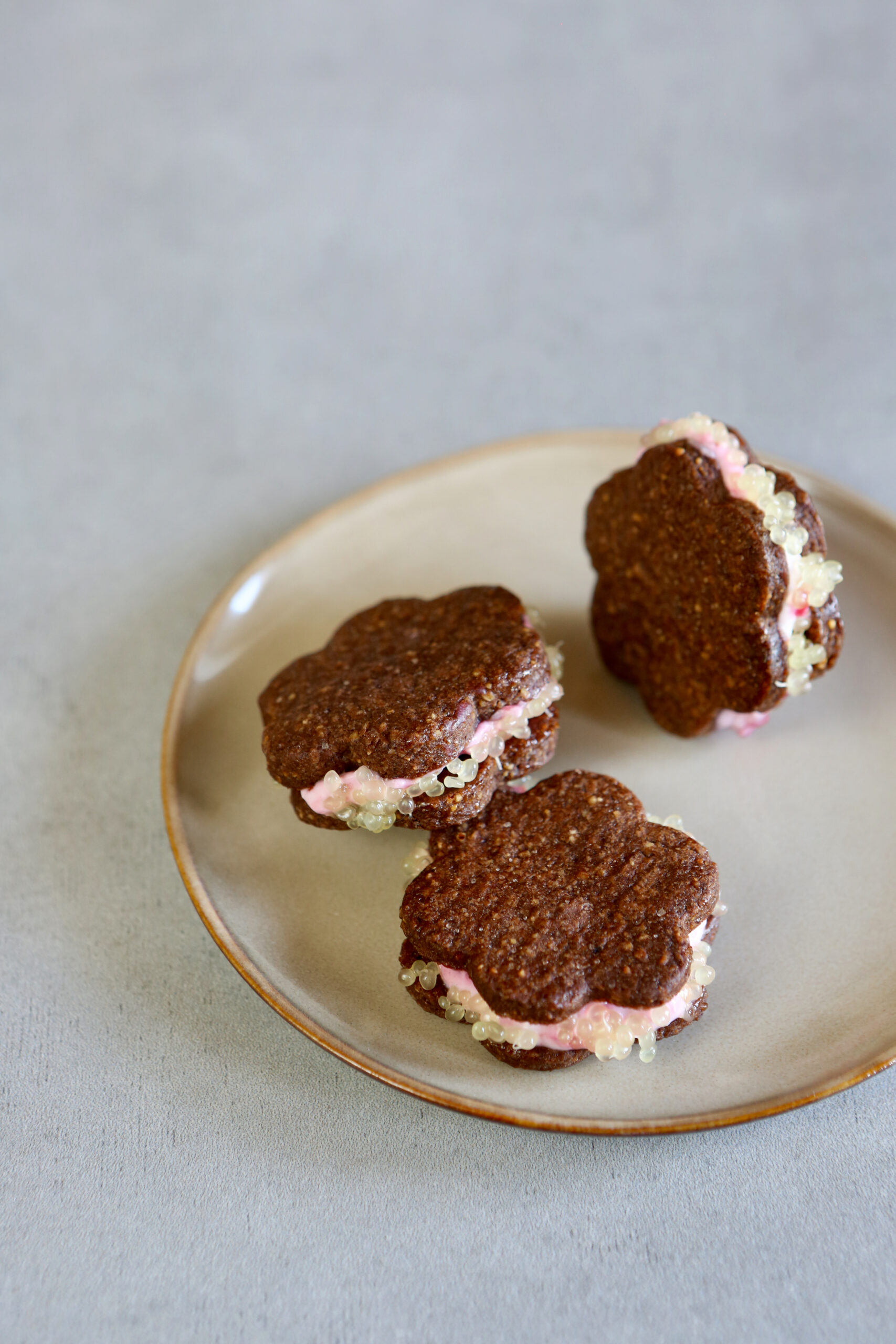 Découvrez notre recette : biscuit de noel au chocolat Suisse