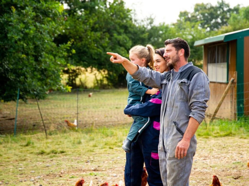 Atelier famille découverte elevage de poules pondeuses lentilly wecandoo