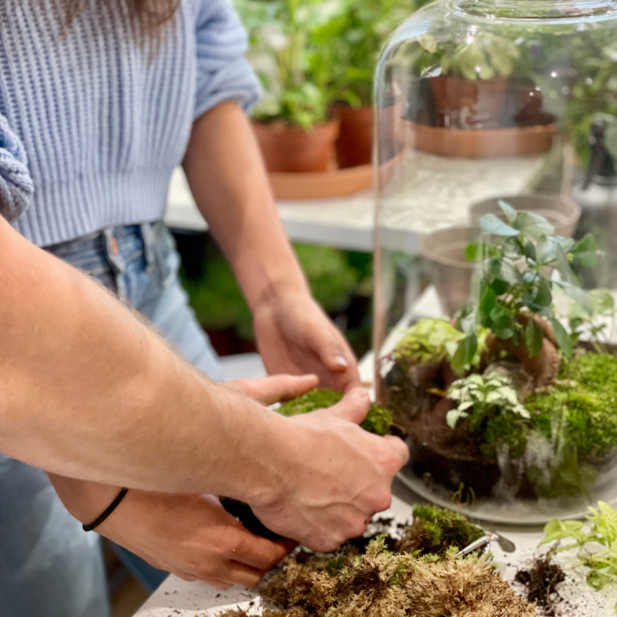 atelier terrarium Gloriette