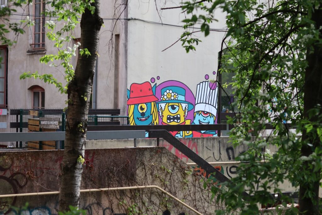 fresque toki street art lyon