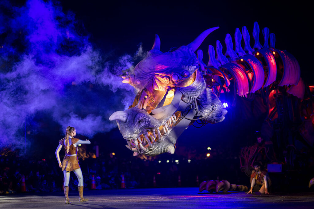 Dragon au festival Entre Rhône et Saône