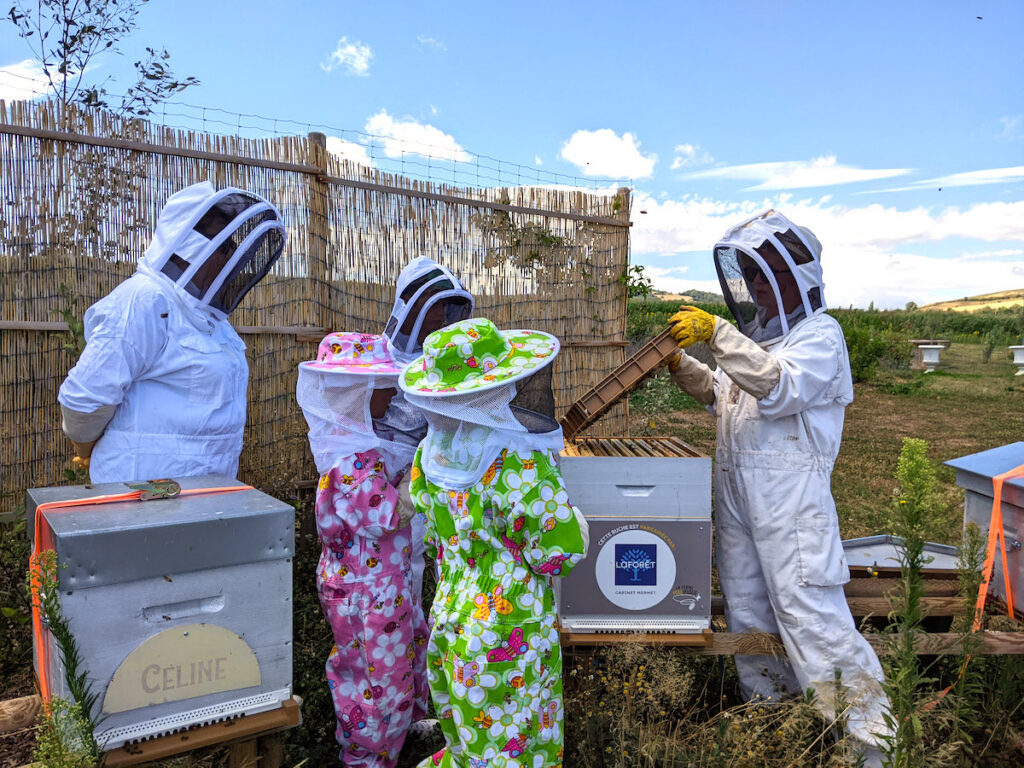 atelier apiculture La ferme Mielifique