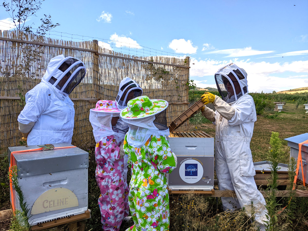 atelier apiculture La ferme Mielifique