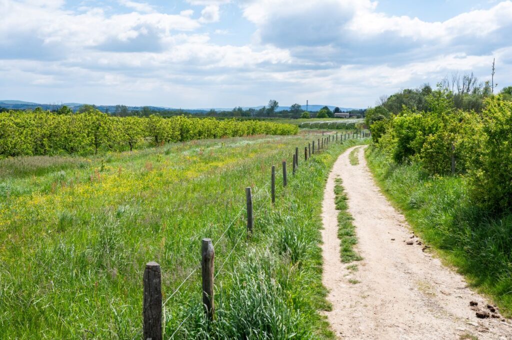 Voie romaine, rando sud-ouest lyonnais