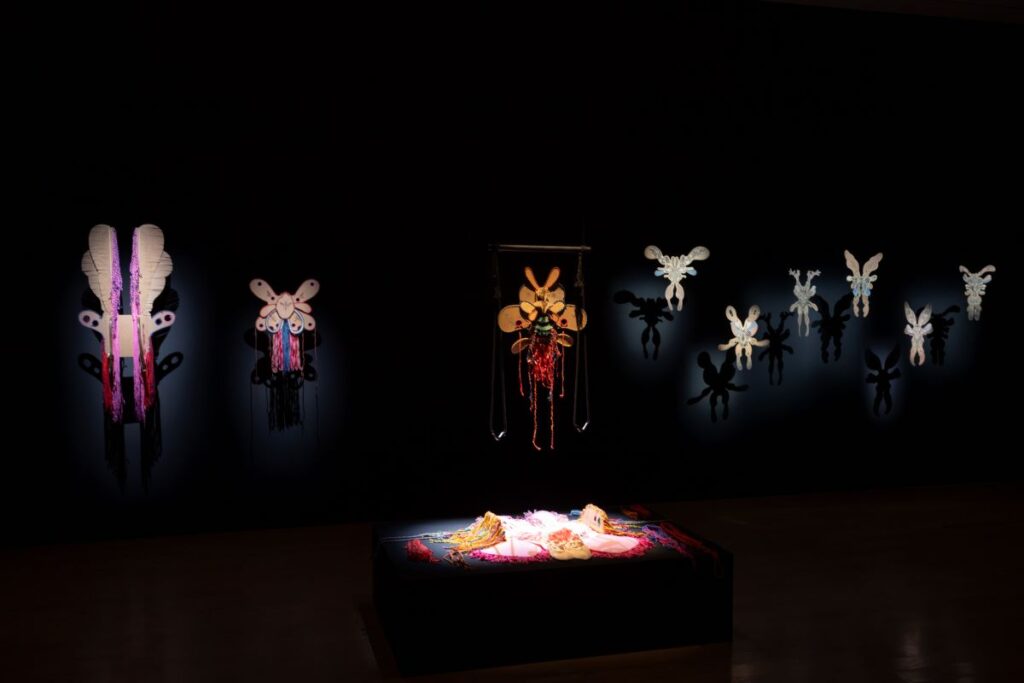 Asylum – A Poem of Unrest, de Robert Gabris au Musée d'art contemporain de Lyon, 17e Biennale d'art contemporain de Lyon