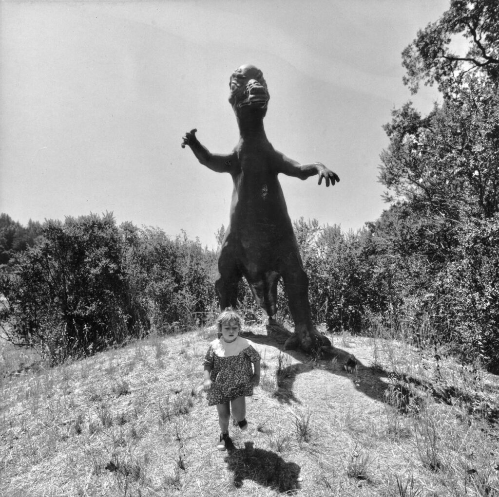 Photo d'Arthur Tress, Le temps d'un rêve, musée des Confluences