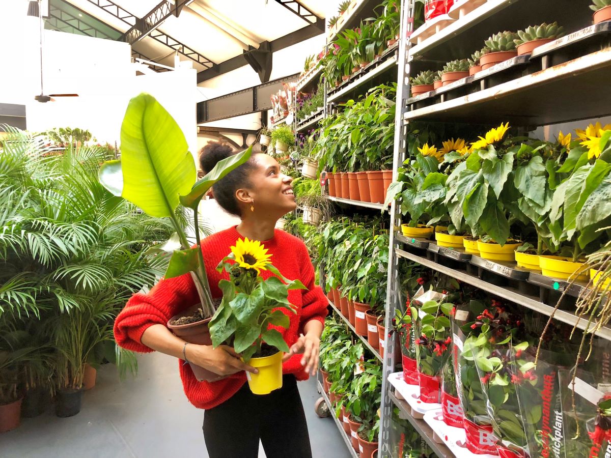 Plantes pour tous chez In-Sted