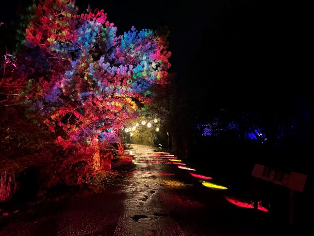 Les Nuits du Parc saison 2, Parc des Oiseaux