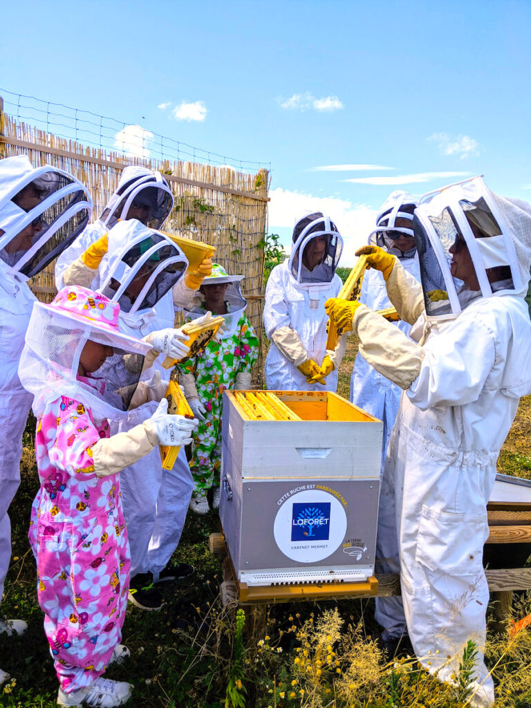 Initiation à l'apiculture en duo parent/enfant