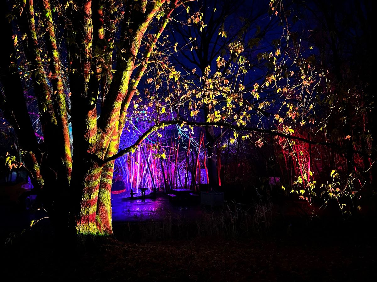 Les Nuits du Parc saison 2, Parc des Oiseaux