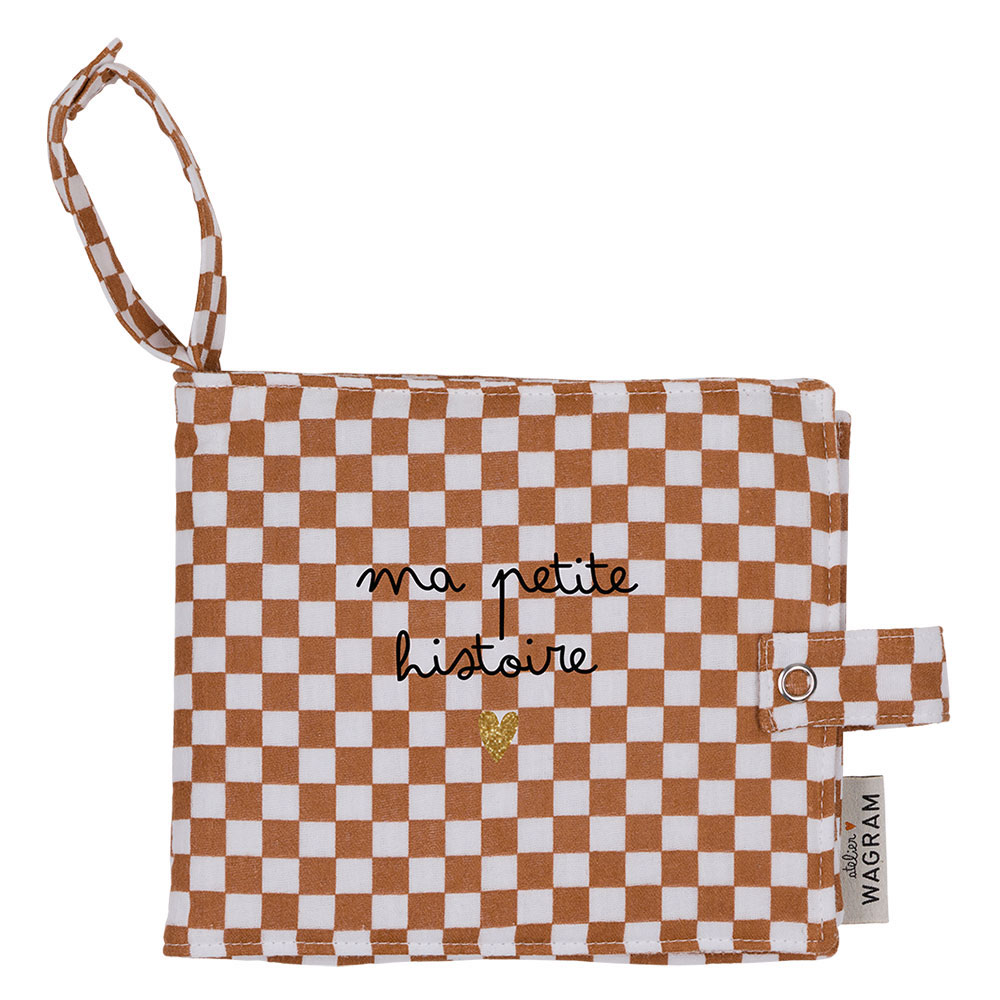Mini album