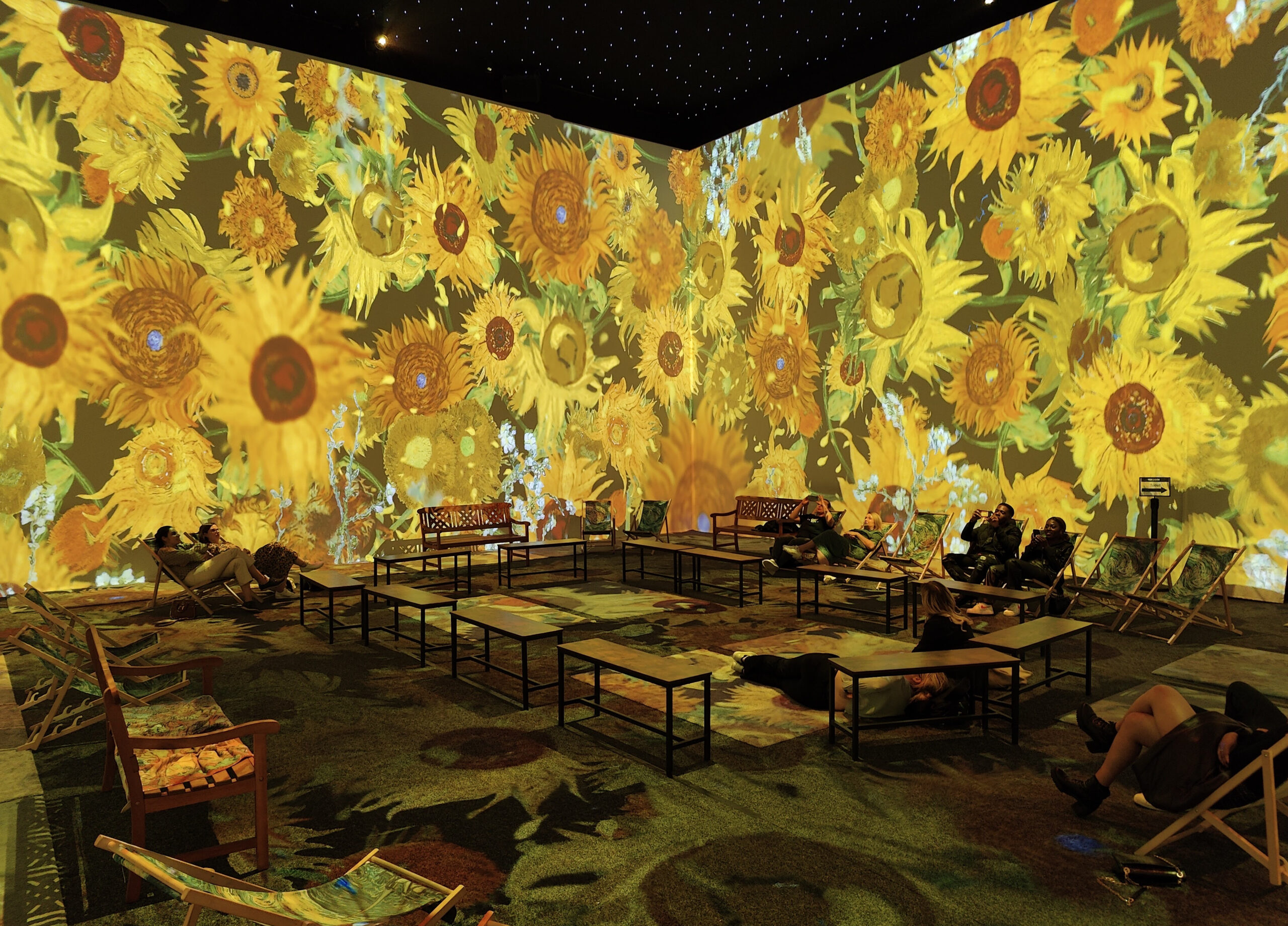 Vue de l'exposition Van Gogh : The Immersive Experience