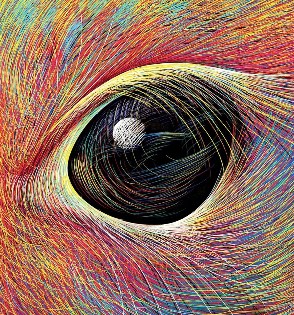 Illustration Les idées sont de drôles de bestioles Isabelle Simler