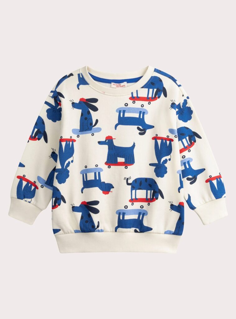 Sweat chien skateur DPAM