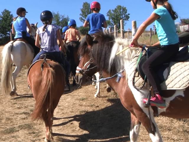 Colonie de vacances 100% poney Soucieu en Jarrest