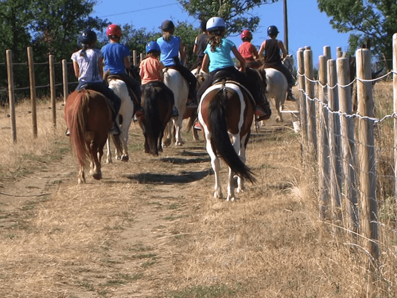 Stage poney Soucieu en Jarrest