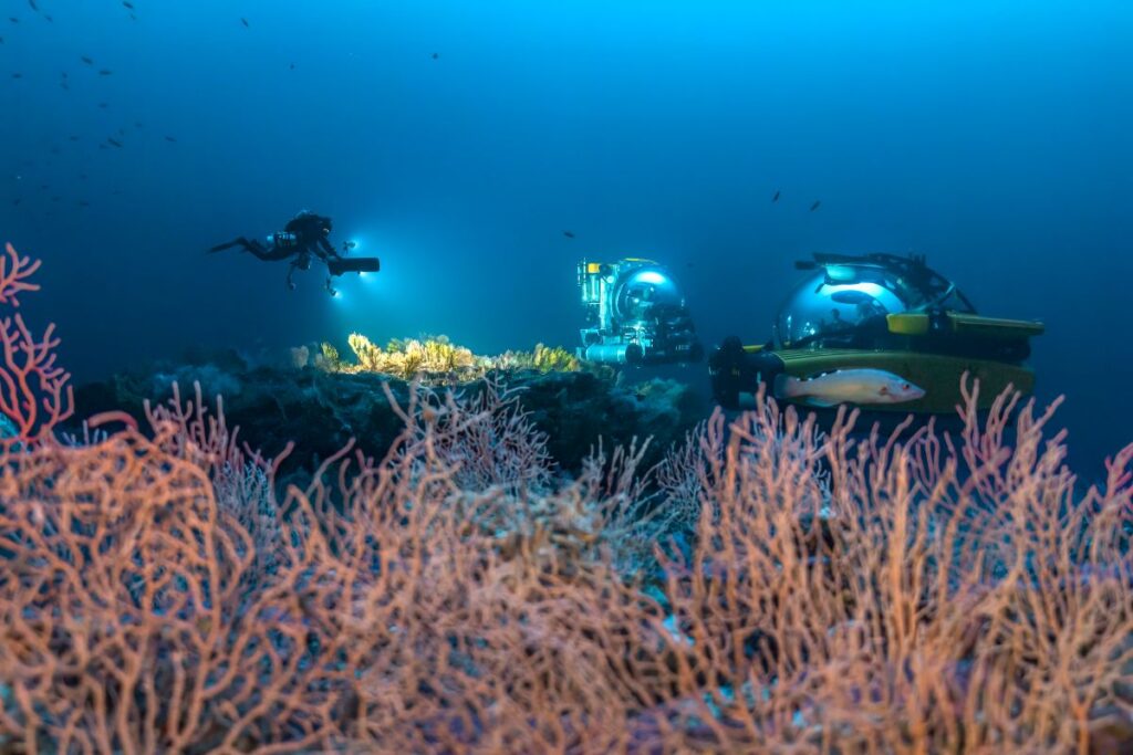 Exposition laurent Ballesta musée des Confluences