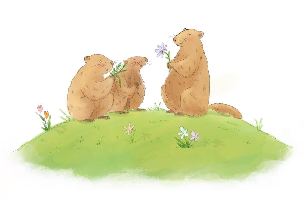 Randonnée observation marmottes Cantal