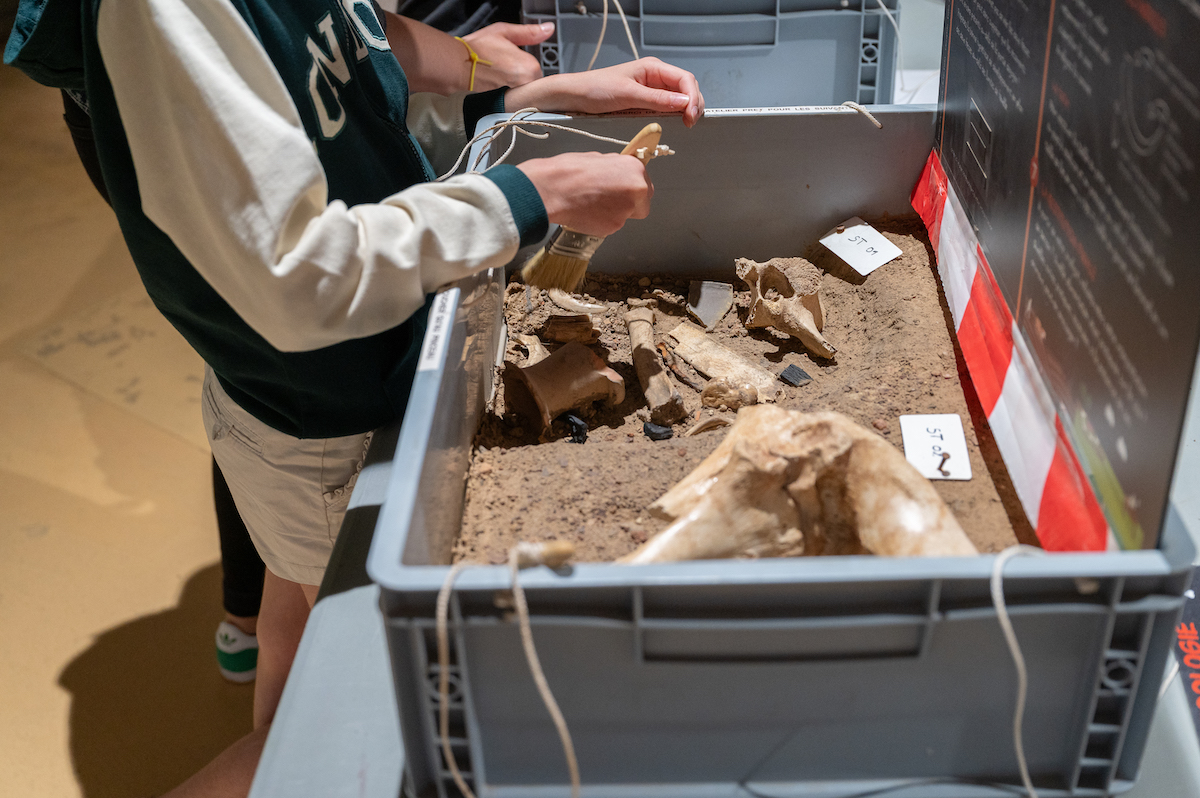 Journées européennes de l'archéologie