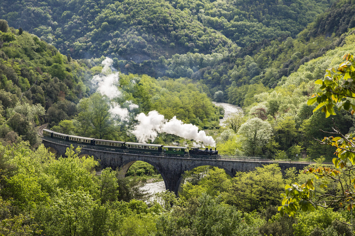 trains touristiques
