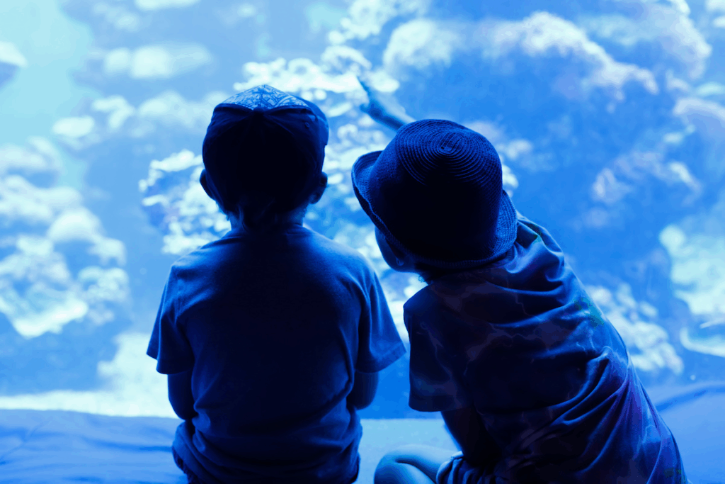 enfants aquarium de Lyon