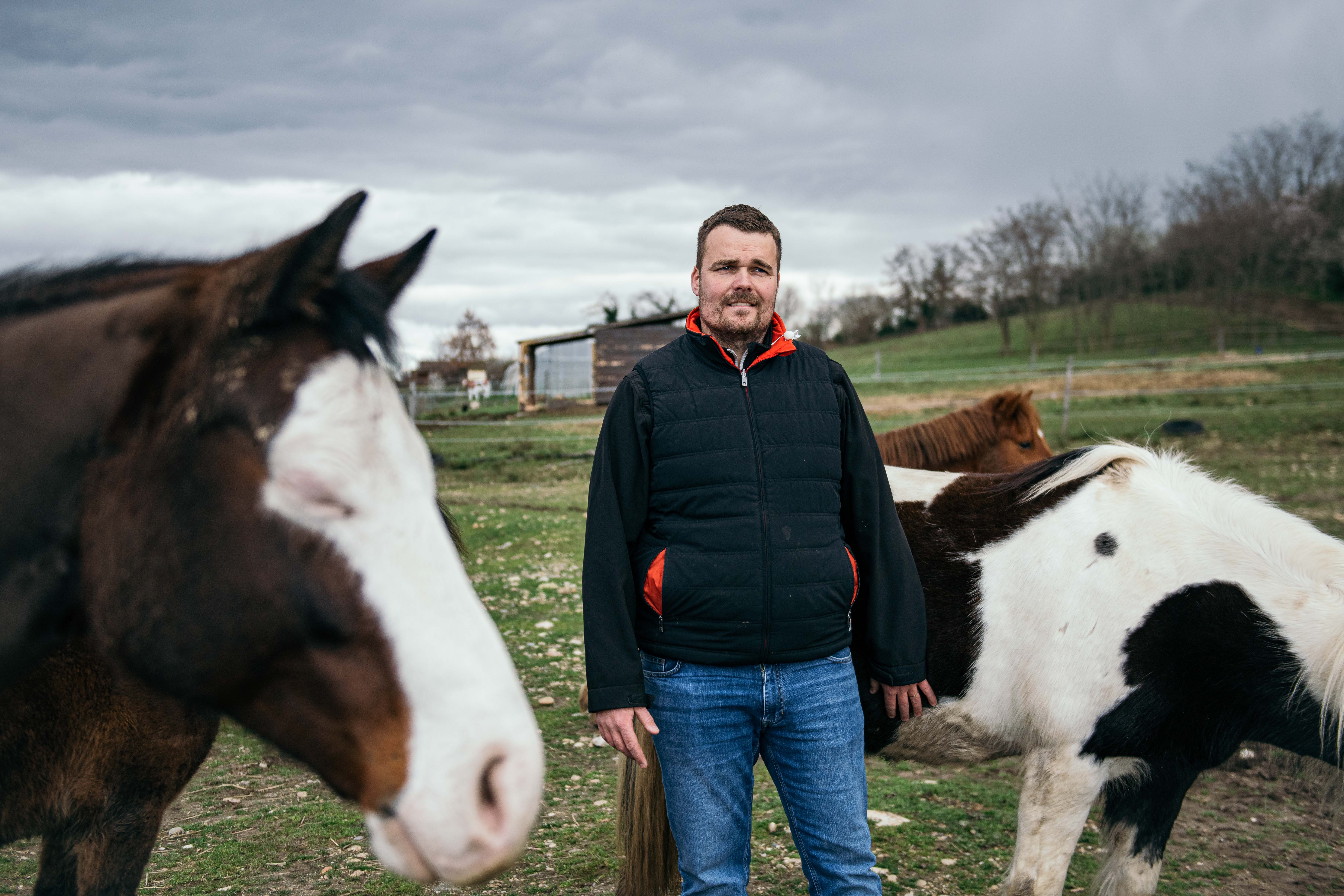 Xavier Dumas Au pré de Justin