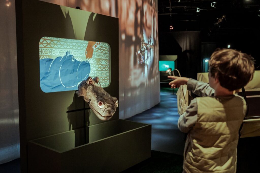 Exposition "Au Mali, quand les animaux dansent. Donation Sonia et Albert Loeb" Musée des confluences