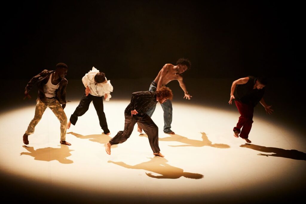 spectacle L'ivresse des lucioles, Maison de la danse