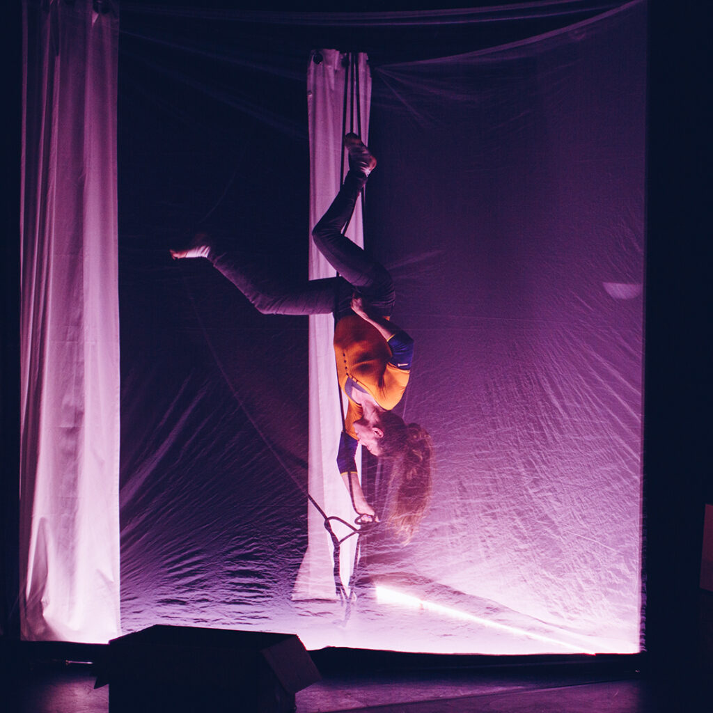 Spectacle MAISON, compagnie Scom, La Mouche