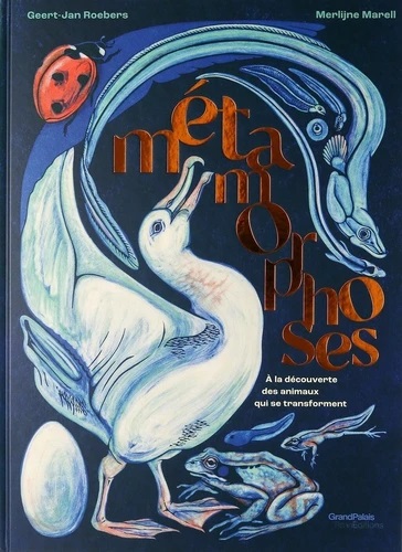 Métamorphoses, Grand Palais RMN Editions
