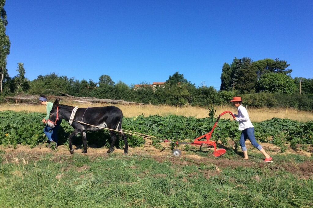 La Ferme des deux ânes