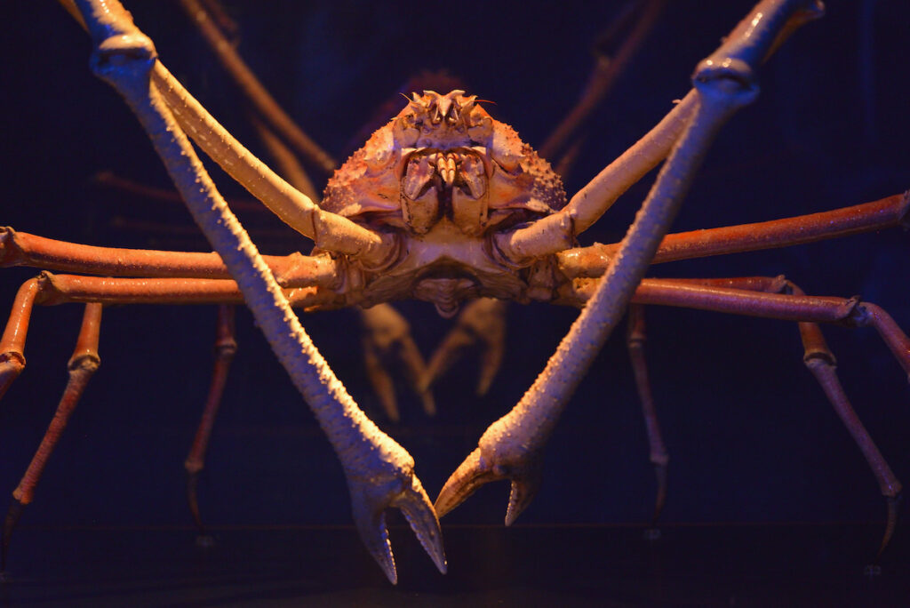 Aquarium de Lyon