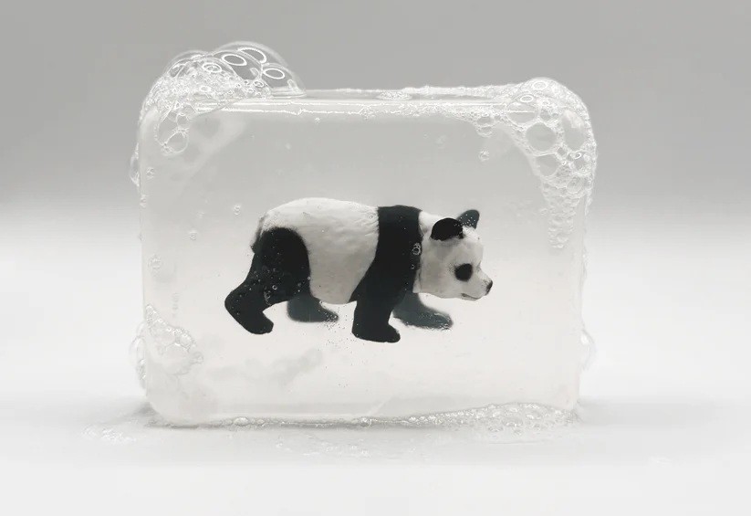 Savon Ludisoap