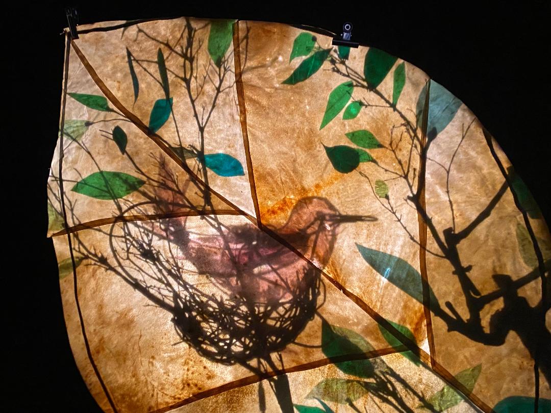 L'Arbre et l'Oiseau spectacle tout-petits Cie Les Motnotes