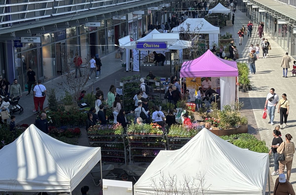 Marché aux plantes Vaulx en Velin