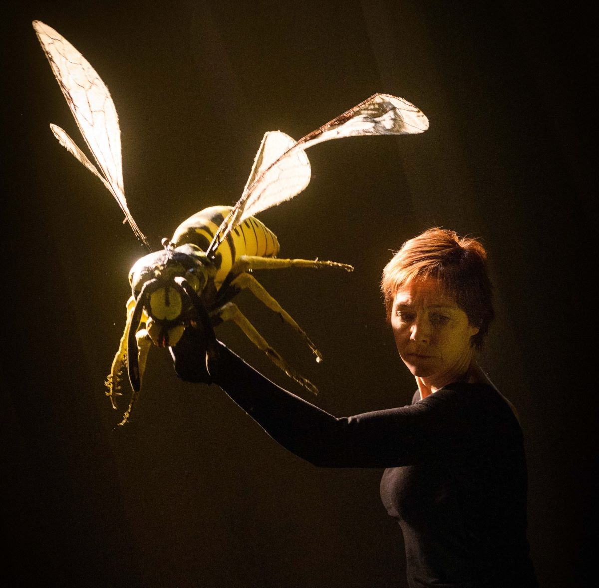 Nuisible spectacle marionnette