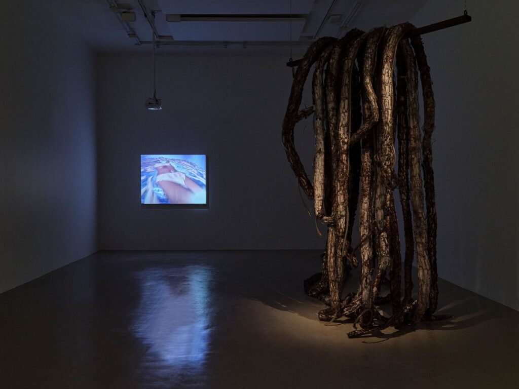 exposition THE (PSYCHO)SOMATIC ZONE IAC Villeurbanne