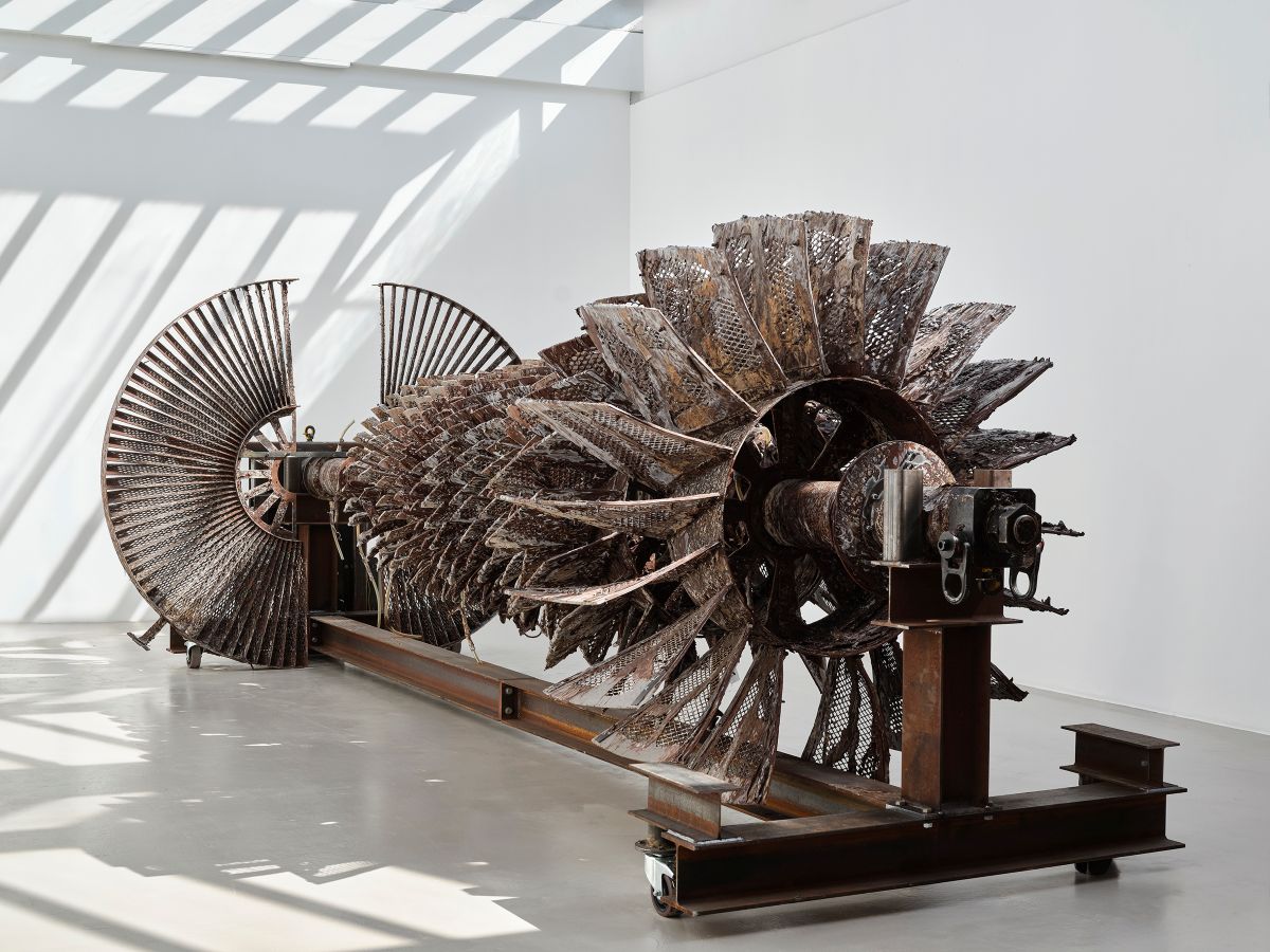 Turbine Skeleton from Open Wound de Mire Lee