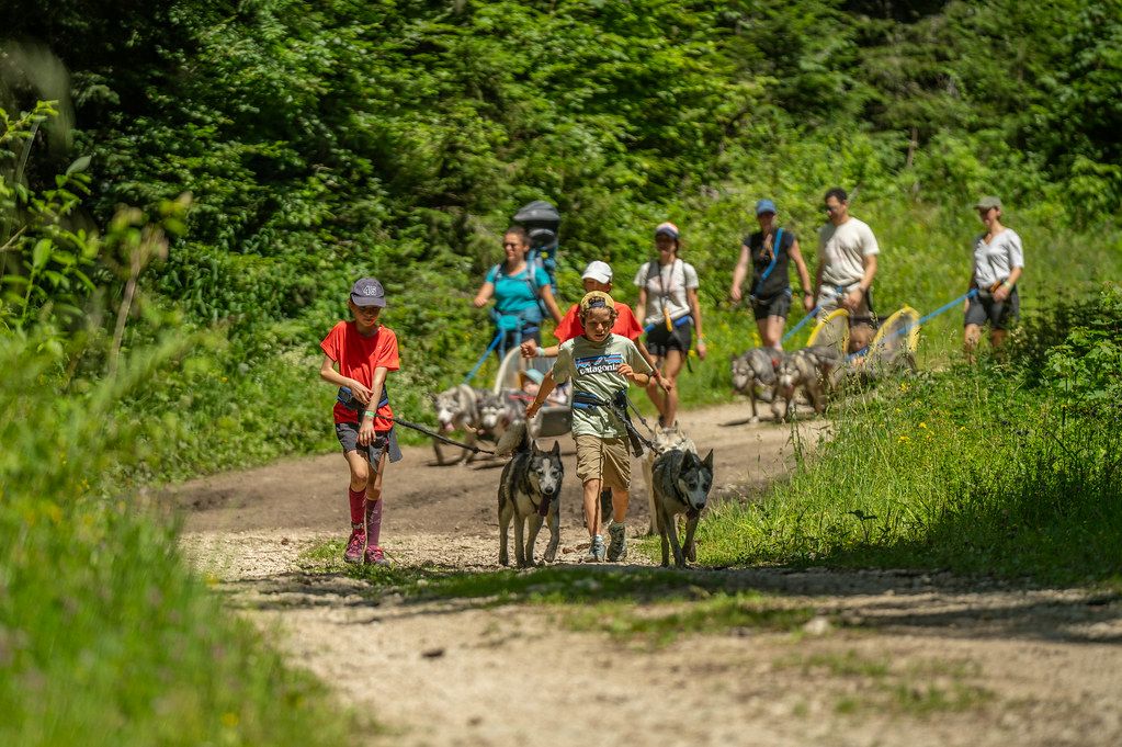 Cani-rando, festival Les Petits Baroudeurs, Haute-Loire