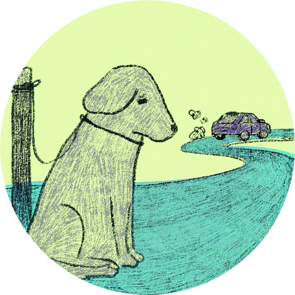 C'est mon droit, illustration Johanna Salleyron