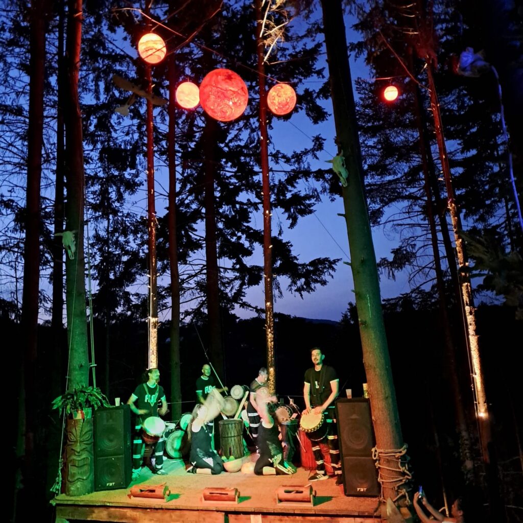 Association Sous la canopée, La Nuit des forêts 2025
